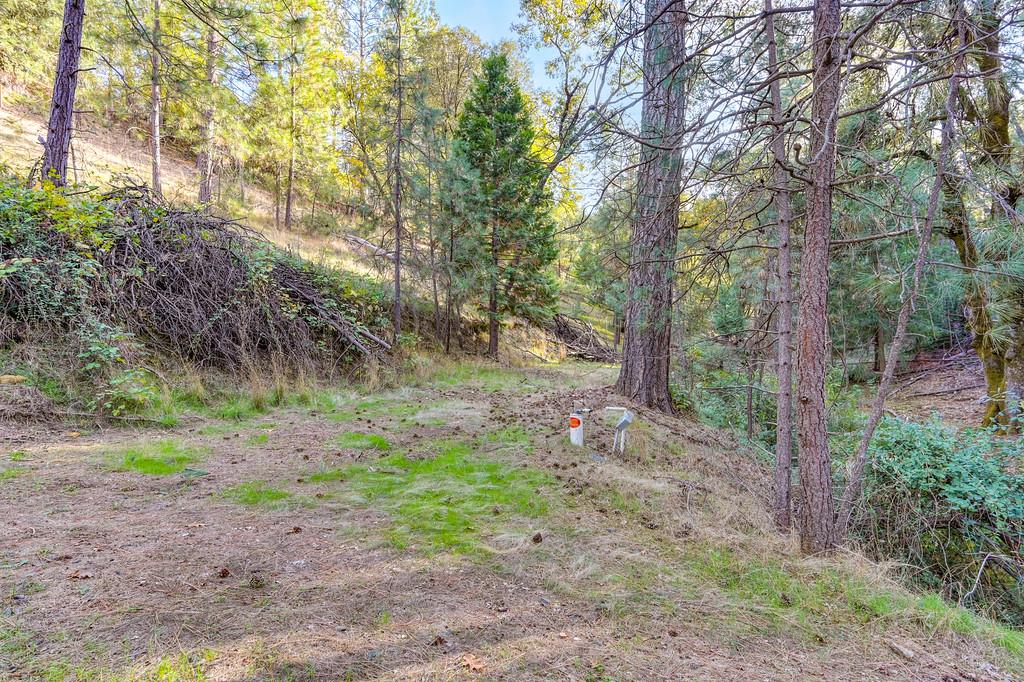 Land in Colfax 3