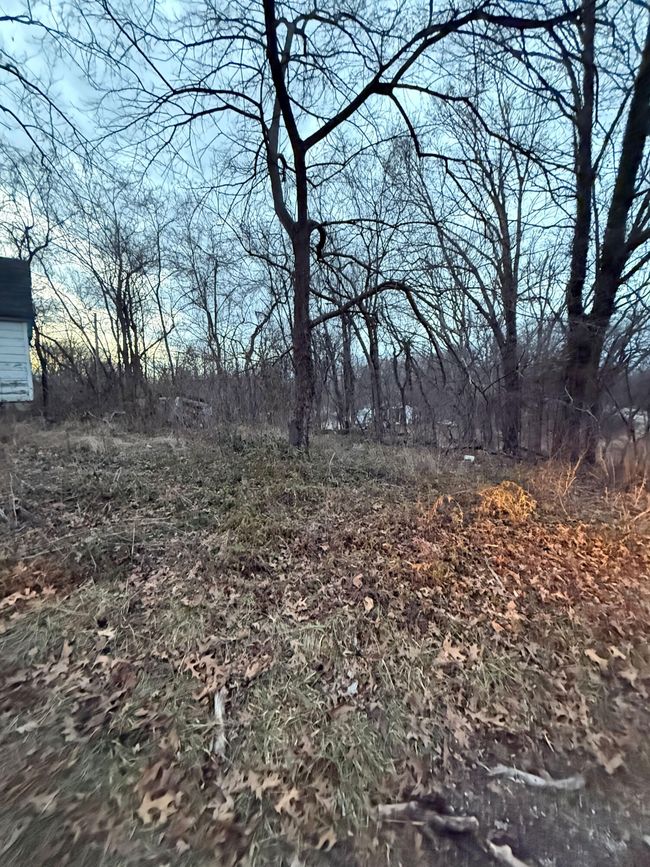 8 | Image 6