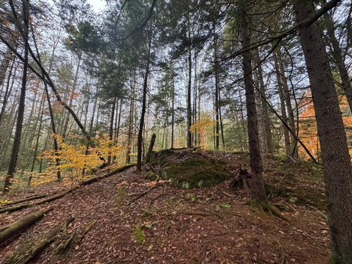 10 Hampshire Hill Rd, Worcester, VT, 05682-9754 | Card Image