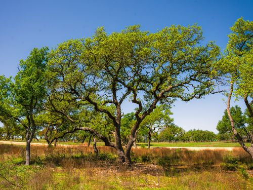 000 Serenity Springs Ranch, Johnson City, TX, 78636 | Card Image