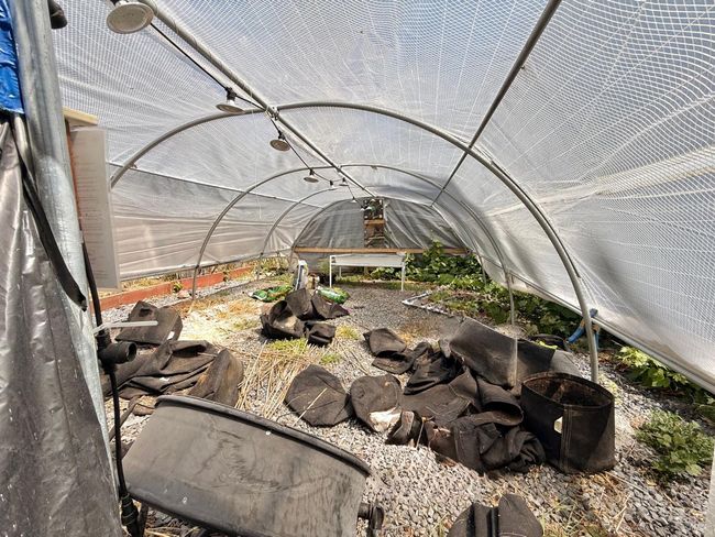2383 Gravenstein Hwy S, Home with 0 bedrooms, 0 bathrooms and 5 parking in Sebastopol CA | Image 27