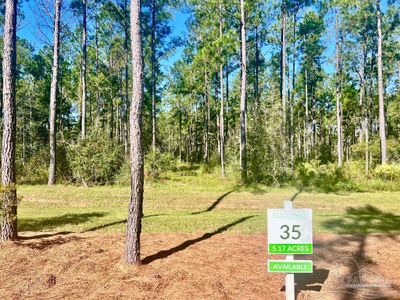 Lot 35 Naturewalk Dr, Home with 0 bedrooms, 0 bathrooms and null parking in Pace FL | Image 1