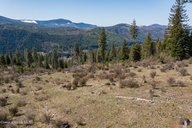 262 North Side Road, Home with 0 bedrooms, 0 bathrooms and null parking in Calder ID | Image 41