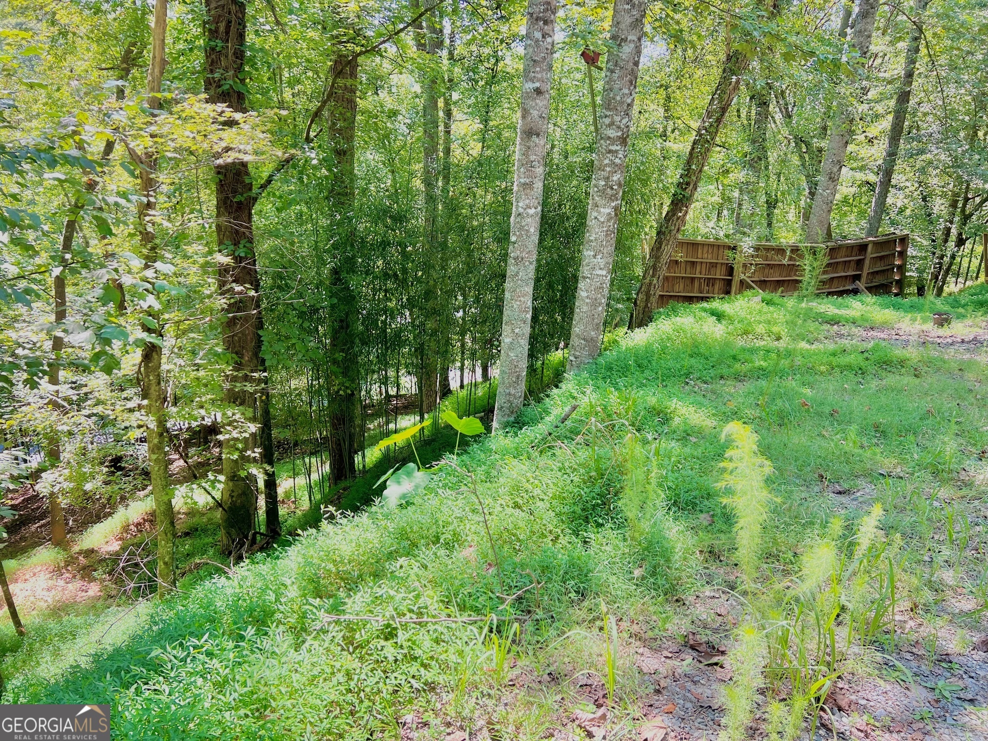 9th St, Ellijay, GA 30540