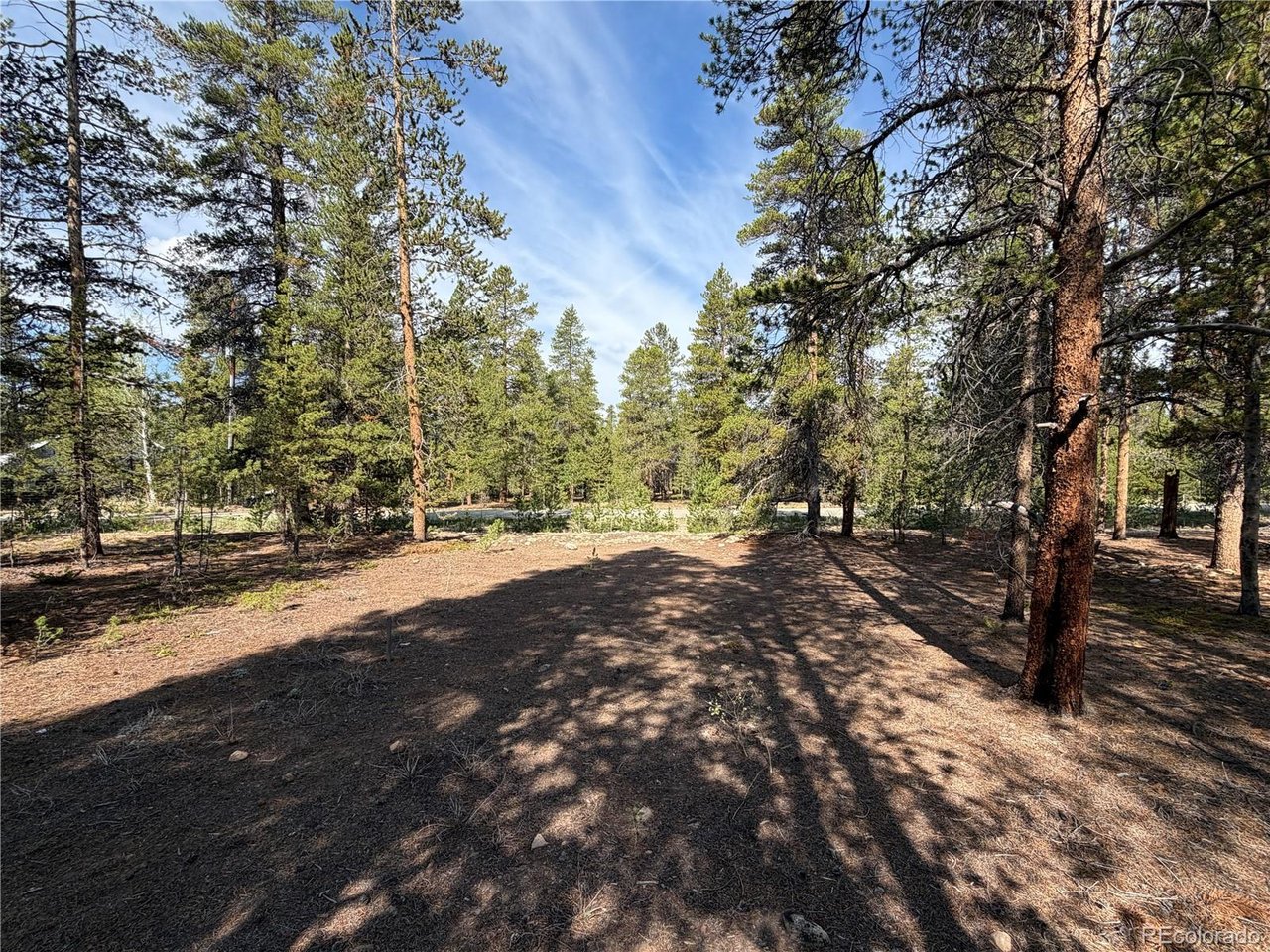 Land in Leadville 3