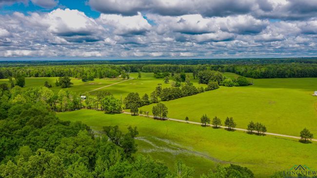 000 Fm 1794 E, Home with 0 bedrooms, 0 bathrooms and null parking in De Berry TX | Image 8