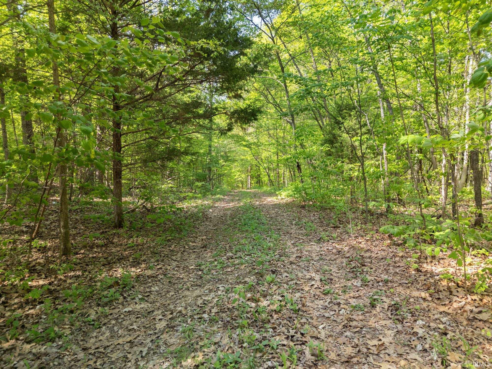 Land in French Lick 4
