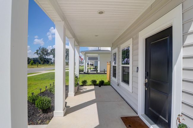 1888 Nola -Tidalcreekphoto- (45) | Image 46