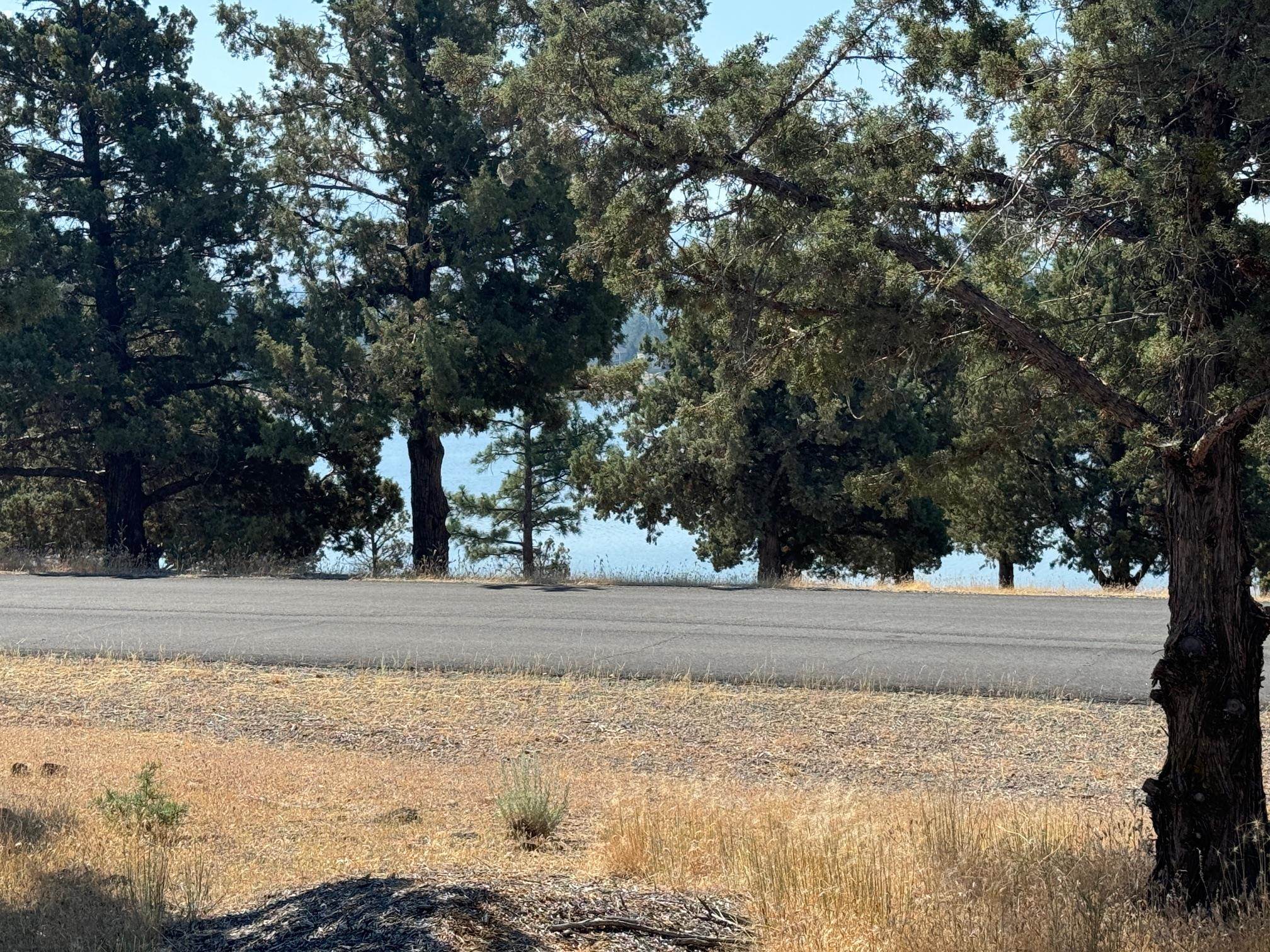 Land in Weed 3