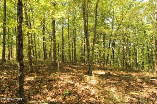 323 Rotherham Dr, Crossville, TN, 38558 | Card Image