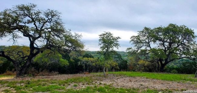 12033 Summer Mdws, Home with 0 bedrooms, 0 bathrooms and null parking in Spring Branch TX | Image 6