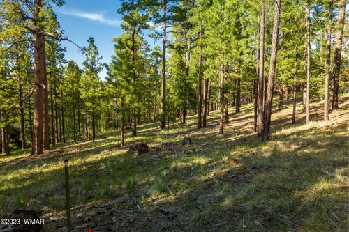 9 N1064, Greer, AZ, 85927 | Card Image