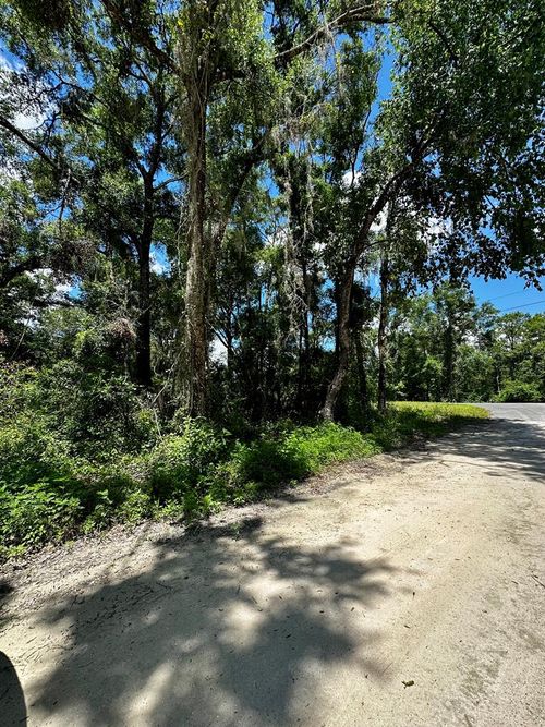 0 Se Highway 317, OLD TOWN, FL, 32680 | Card Image