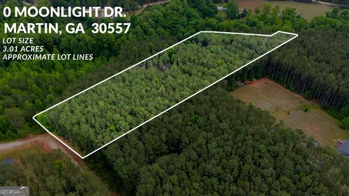 0 Moonlight Dr, Martin, GA, 30557 | Card Image