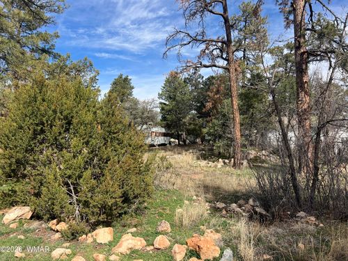 2856 Rainbow Trl, Overgaard, AZ, 85933-5323 | Card Image