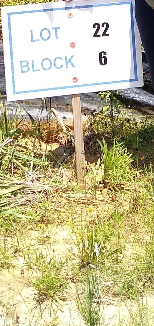 65 Coyote Run, New Waverly, TX, 77358 | Card Image