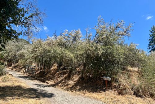 52 Flying T Dr, California Hot Springs, CA, 93207 | Card Image