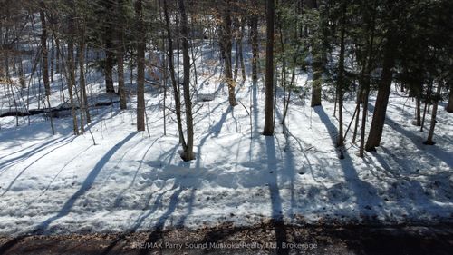 44 Ridgeway Dr, Nobel, ON, P0G1G0 | Card Image