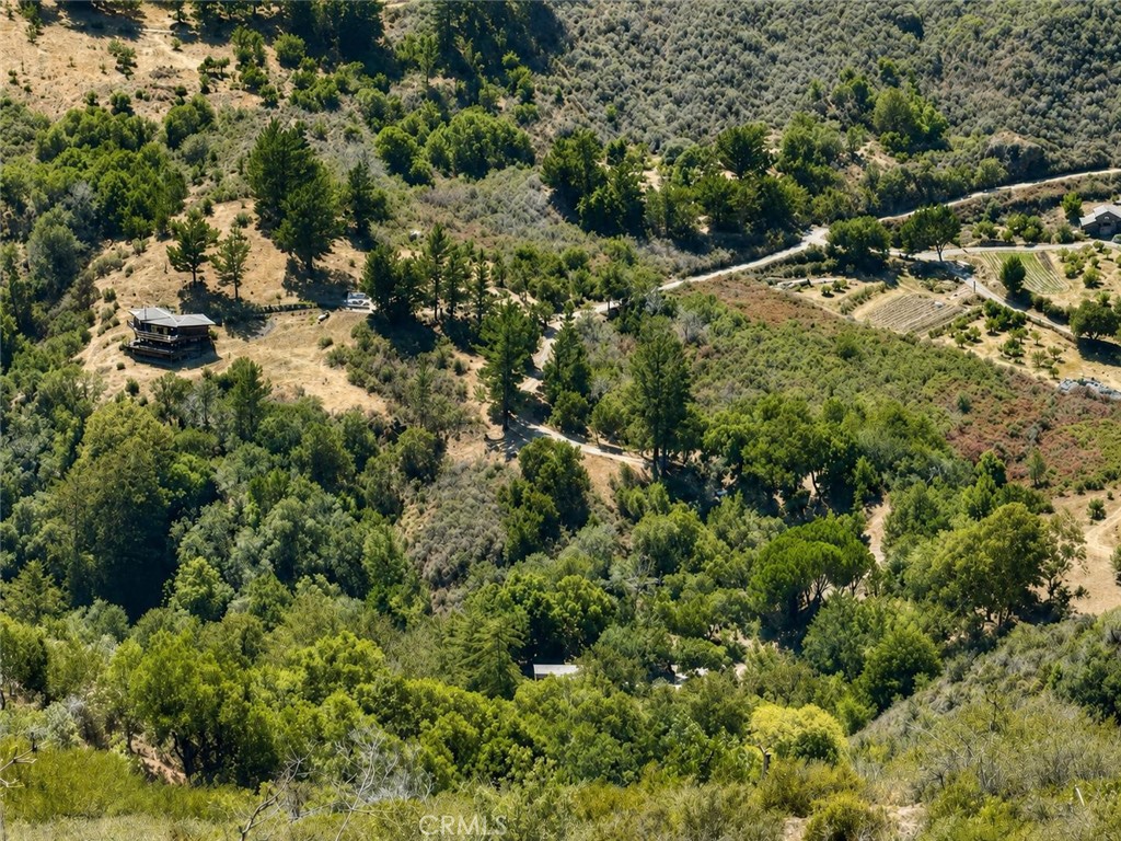 Land in Big Sur 3