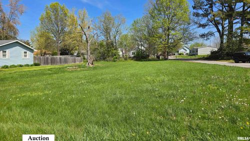 0 Trout Ave, Johnston City, IL, 62951 | Card Image