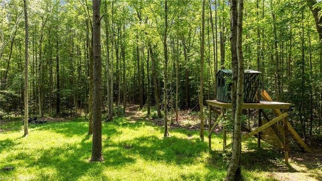 Raised hunting blind | Image 16