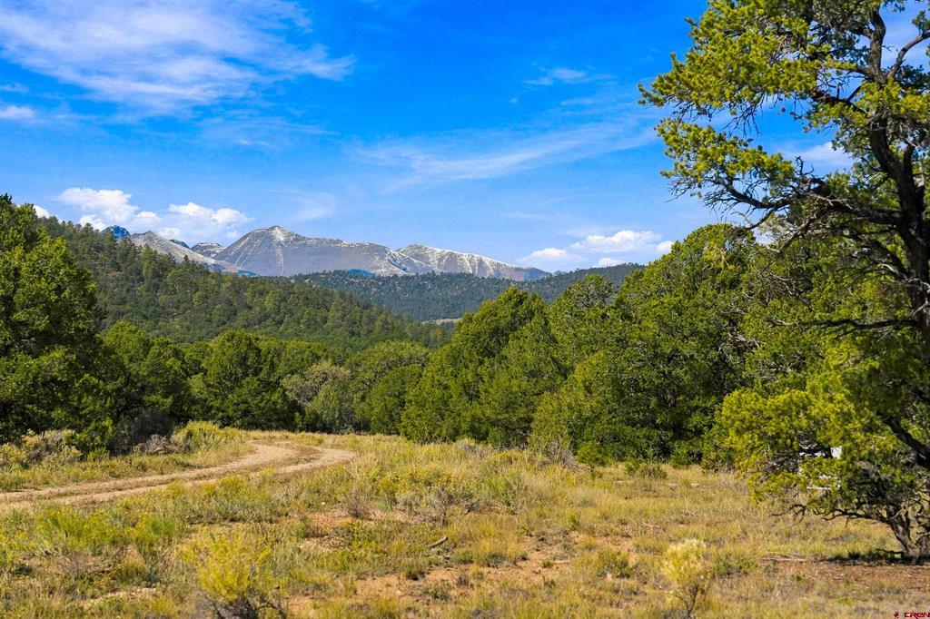 Land in Gardner 5