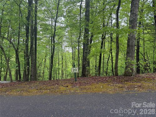 20-39 Black Bear Ridge Trl, Zirconia, NC, 28790-4718 | Card Image