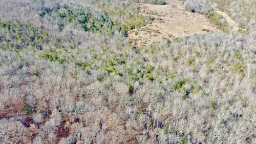 000 Flowstone Ln, Gainesville, MO, 65655 | Card Image