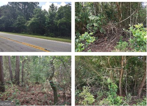 NA Highway 36, The Rock, GA, 30285 | Card Image