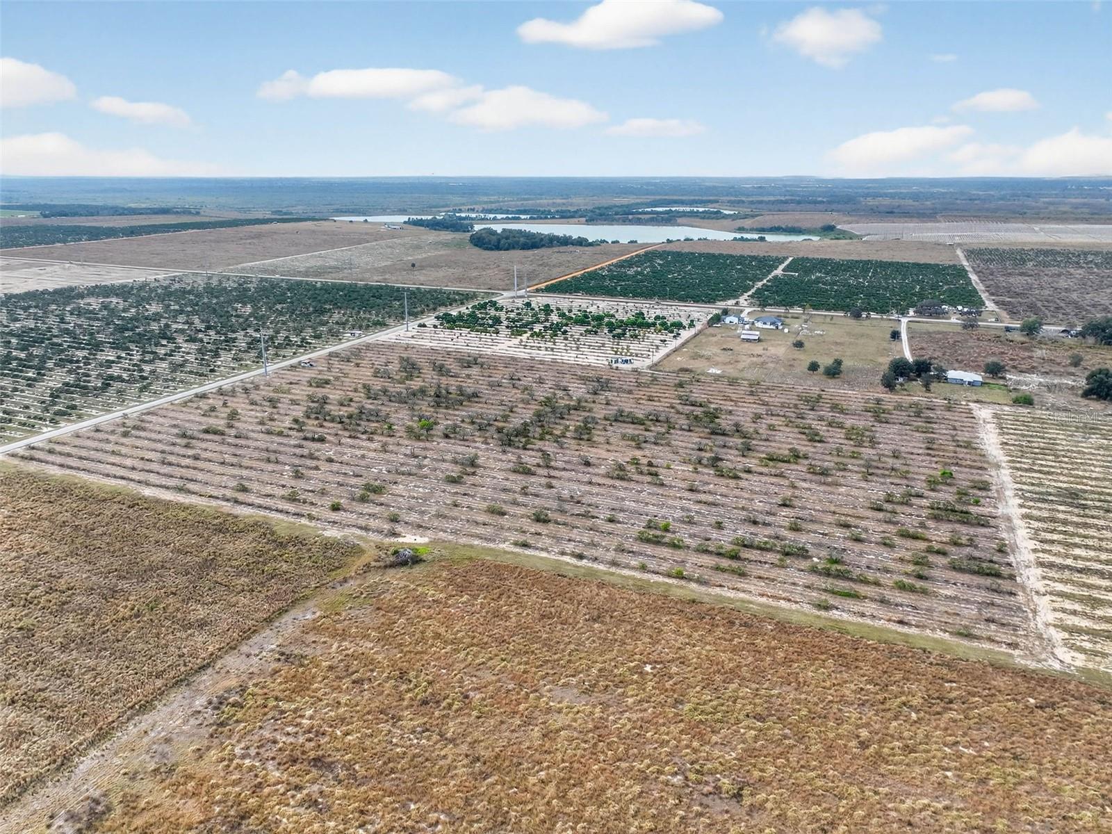 Land in BARTOW 5