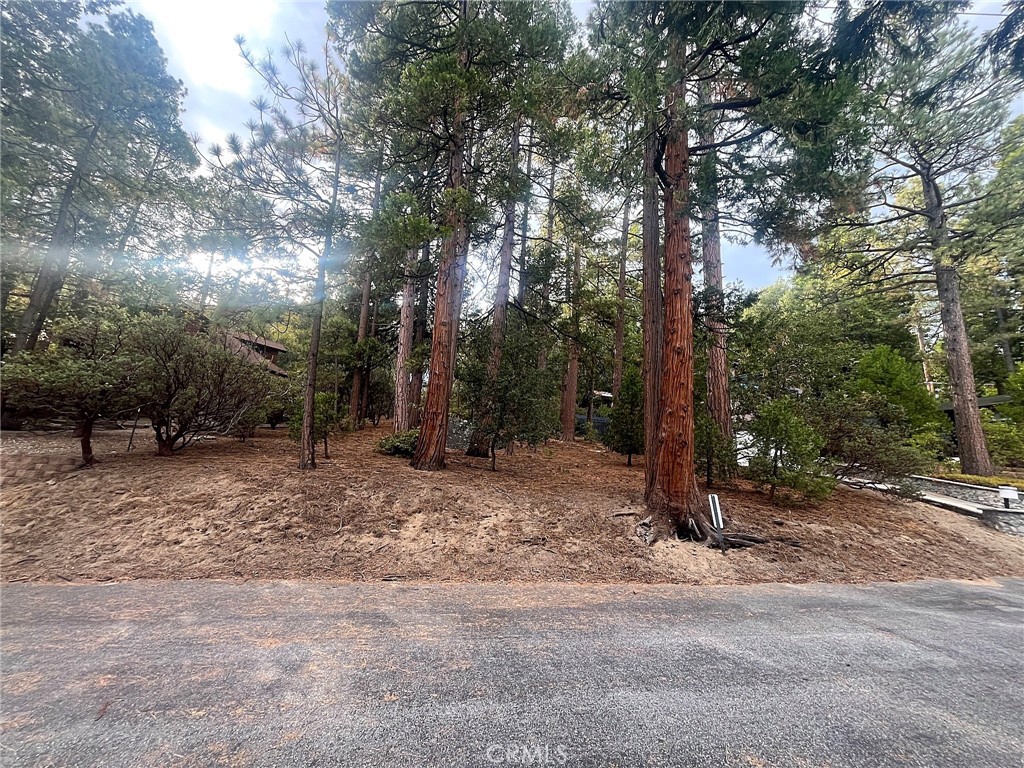 Land in Idyllwild