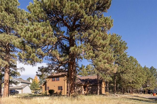 11 Strawflower Ln, House other with 4 bedrooms, 4 bathrooms and 3 parking in Golden CO | Image 37