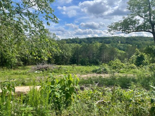 738 Wellington Pkwy, Kirbyville, MO, 65679 | Card Image