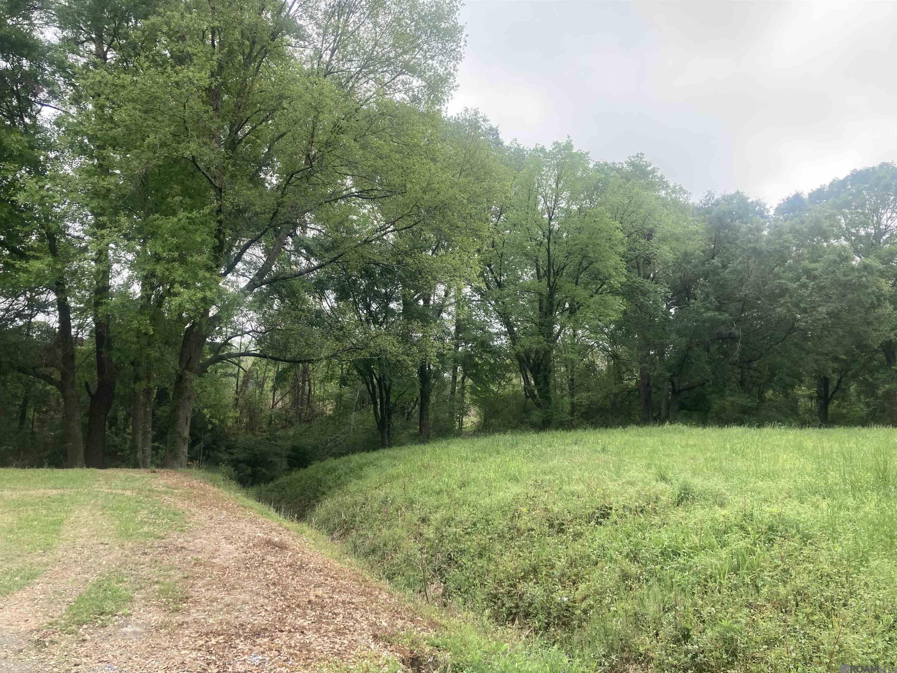 Land in Denham Springs 2