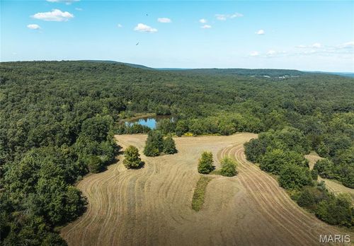4 Buck Mountain Rd, Doe Run, MO, 63637 | Card Image