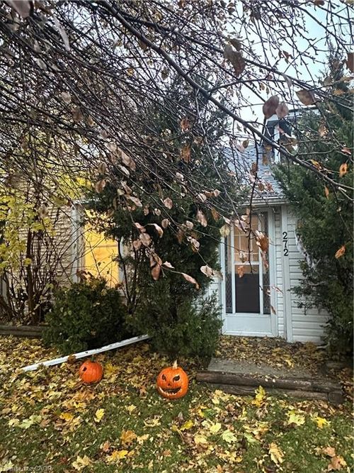 {{alt}} | Card Image