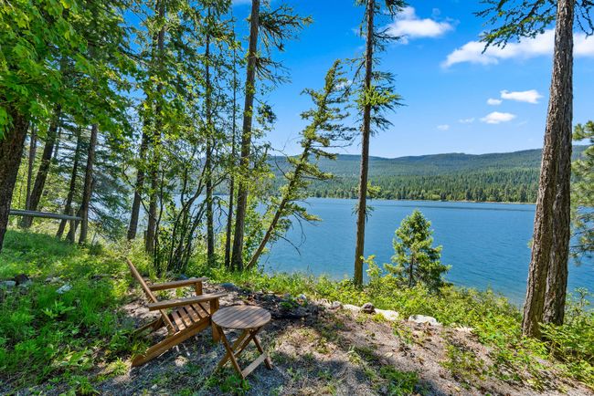 Water view with a forest | Image 35