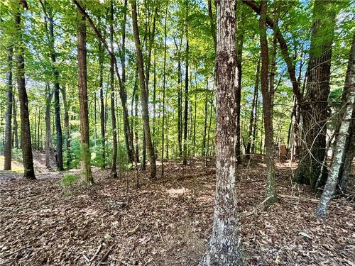 0.55 A Pine Ridge Road, Ellijay, GA, 30540 | Card Image