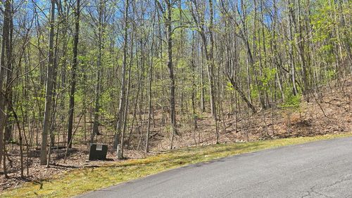 Lot 18 Overlook Loop, Young Harris, GA, 30582 | Card Image