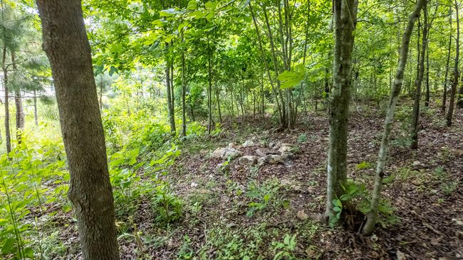 Land for sale in Shannon County8 | Image 10