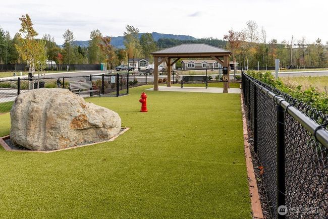 Dog Park | Image 36