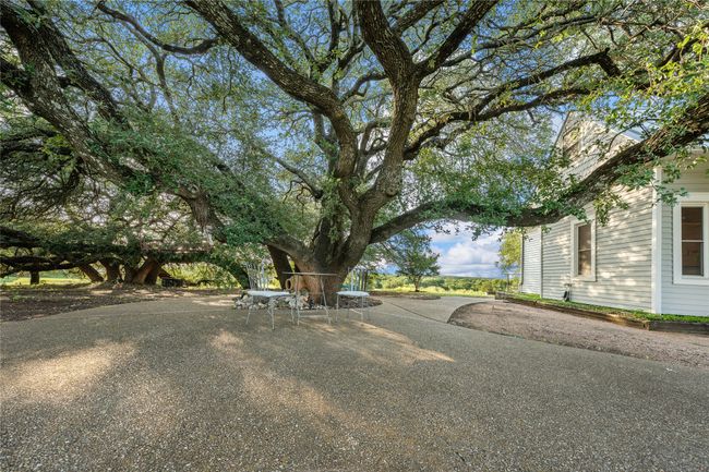View of yard | Image 26