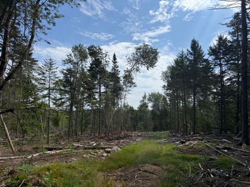 366662 Sunset Cross Road, Deer Isle, ME, 04627 | Card Image