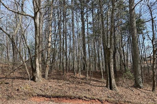 0 Bayou Drive, Ellijay, GA, 30540 | Card Image