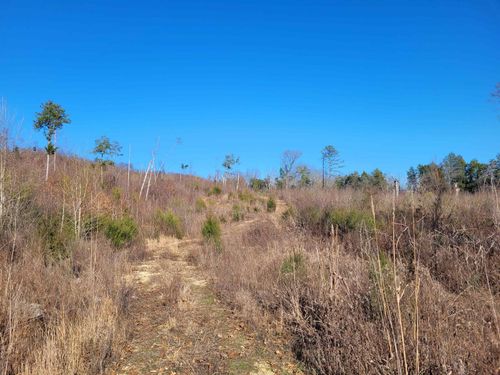 01 Whiteoak Rd E, Clifton, TN, 38425-4219 | Card Image