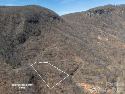 Lot 2130 Weaverly Ln, Mill Spring, NC, 28756 | Card Image