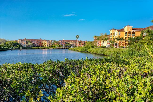 UNIT-420A - 2722 Via Tivoli, Condo with 2 bedrooms, 2 bathrooms and null parking in Clearwater FL | Image 26