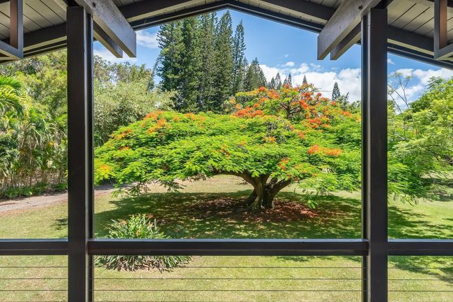 1 - 965 Hog Back Rd, House other with 3 bedrooms, 4 bathrooms and null parking in Haiku HI | Image 23