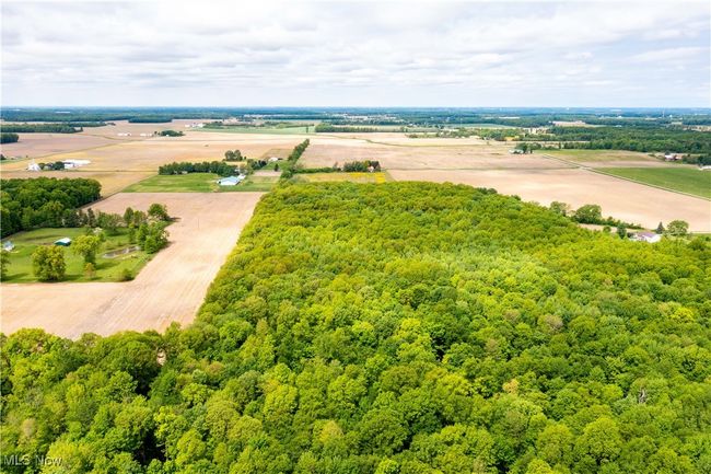 View of rural area with a heavily wooded area | Image 8