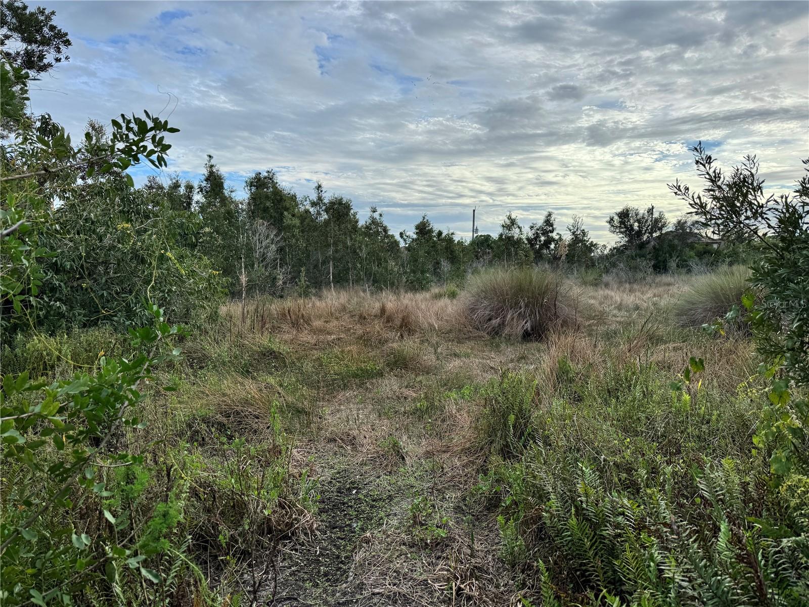 Land in PORT CHARLOTTE 2